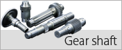 Gear shaft