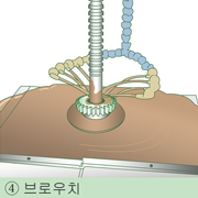 브로우치